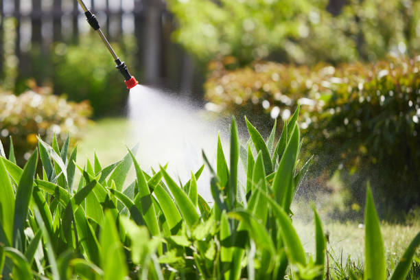 24/7 Emergency Fumigation Services experts in Southwest Ranches, FL
